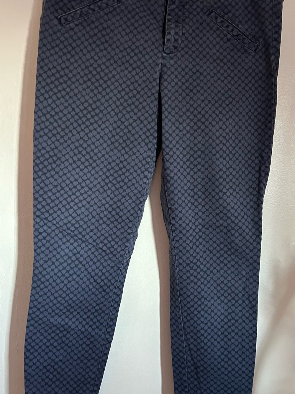 GAP Navy Patterned Skinny Pants